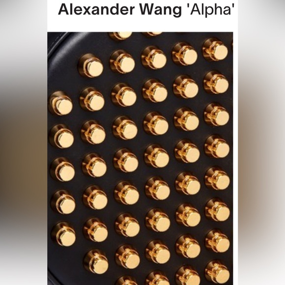 Alex Wang purse, perfect gift for significant other or young lady in your family - Picture 8 of 14